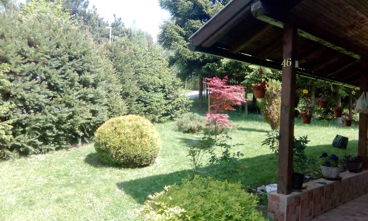 Apartment Nais Zlatibor