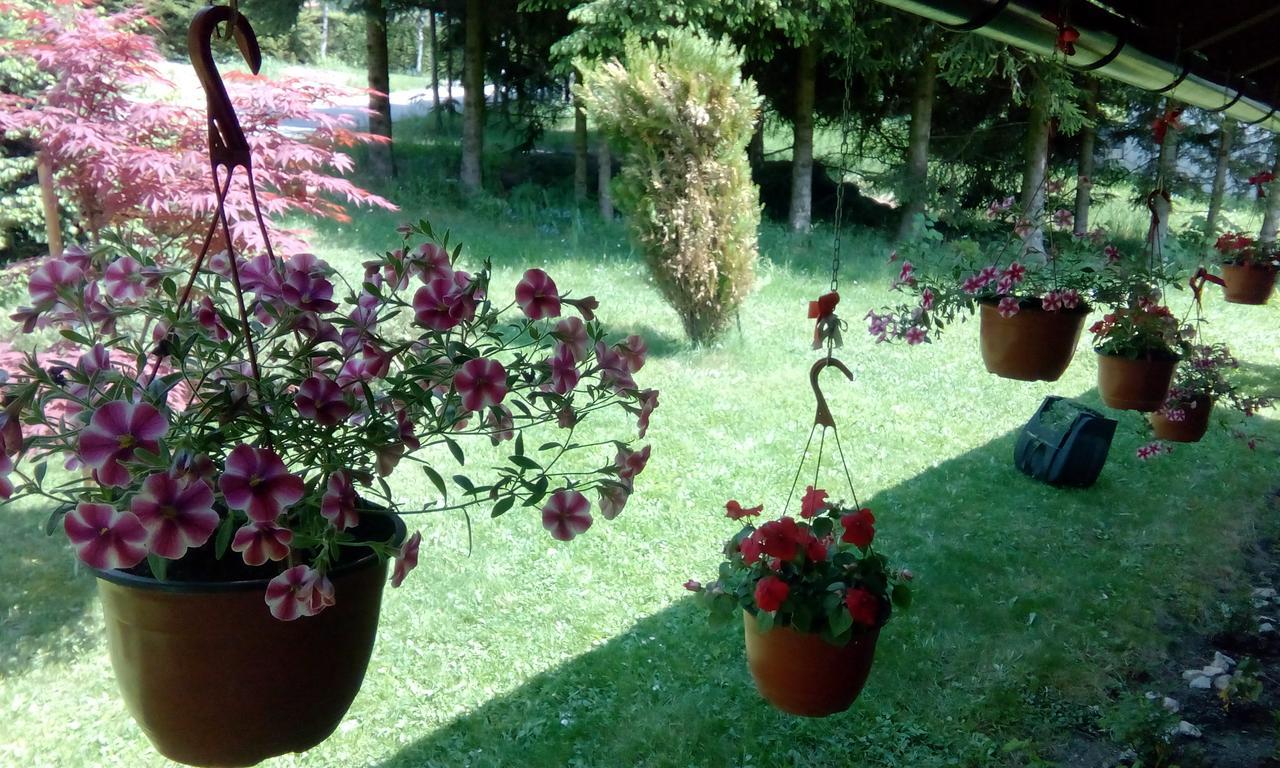 Apartment Nais Zlatibor